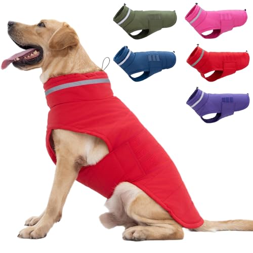 Mklhgty Hundemantel, wasserdichte Hundejacke, Wintermantel für kaltes Wetter, warme winddichte Hunde-Schneejacke, Kleidung, reflektierend, verstellbar, Rollkragen, Hundemäntel für kleine, mittelgroße Mklhgty Hundemantel, wasserdichte Hundejacke, Wintermantel für kaltes Wetter, warme winddichte Hunde-Schneejacke, Kleidung, reflektierend, verstellbar, Rollkragen, Hundemäntel für kleine, mittelgroße von Mklhgty