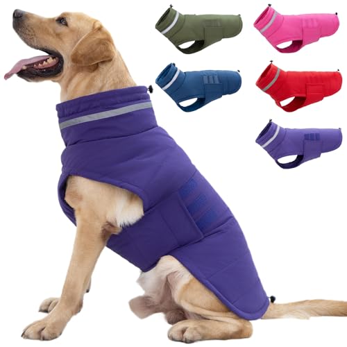 Mklhgty Hundemantel, wasserdichte Hundejacke, Wintermantel für kaltes Wetter, warme winddichte Hunde-Schneejacke, Kleidung, reflektierend, verstellbar, Rollkragen, Hundemäntel für kleine, mittelgroße Mklhgty Hundemantel, wasserdichte Hundejacke, Wintermantel für kaltes Wetter, warme winddichte Hunde-Schneejacke, Kleidung, reflektierend, verstellbar, Rollkragen, Hundemäntel für kleine, mittelgroße von Mklhgty