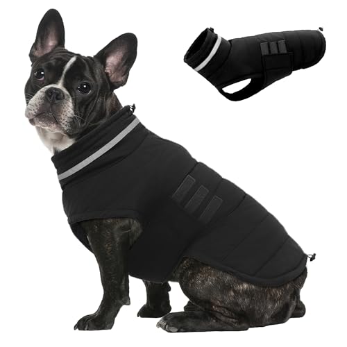 Mklhgty Hundemantel, wasserdichte Winterjacke, warme winddichte Jacke, reflektierender, verstellbarer Rollkragenmantel für kleine Hunde mit Klettverschluss - Schwarz - S von Mklhgty
