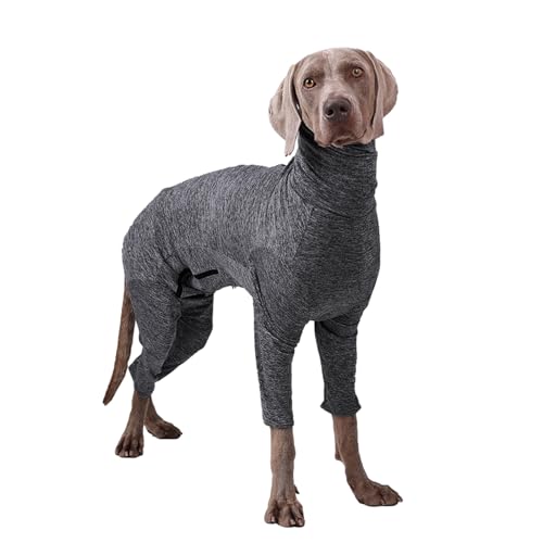 Hunde-Overall für nach dem Haarausfall, Genesungsanzug, Angstzustände, 4 Beine, Kleidung für Haustiere, reduziert Angst für Hunde Hunde-Overall für nach dem Haarausfall, Genesungsanzug, Angstzustände, 4 Beine, Kleidung für Haustiere, reduziert Angst für Hunde von Mllepjdh