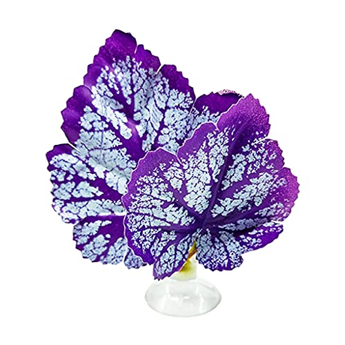 Mllepjdh Betta Fischblatt-Pad mit Saugnapf, Hängematte, simulierender Lebensraum, realistische Ruhe-Fischruhe, Bett, Aquarien für Aquarium, Dekoration, Betta-Fischblatt-Pad mit Saugnapf, lila Mllepjdh Betta Fischblatt-Pad mit Saugnapf, Hängematte, simulierender Lebensraum, realistische Ruhe-Fischruhe, Bett, Aquarien für Aquarium, Dekoration, Betta-Fischblatt-Pad mit Saugnapf, lila von Mllepjdh