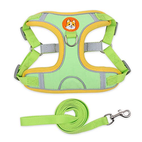 Mllepjdh Hundegeschirr Haustierbedarf Hundegeschirr Hundegeschirr Hundeseil Reflektierende Weste Typ Zugseil Hund Outdoor Walking Harness Mllepjdh Hundegeschirr Haustierbedarf Hundegeschirr Hundegeschirr Hundeseil Reflektierende Weste Typ Zugseil Hund Outdoor Walking Harness von Mllepjdh