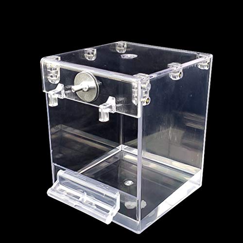 Mllepjdh Vogeltränke Badkasten Sittich Käfig Vogelbadewanne Haushalt Badebox Portative Zubehör für Haustiere Kleine Vögel Mllepjdh Vogeltränke Badkasten Sittich Käfig Vogelbadewanne Haushalt Badebox Portative Zubehör für Haustiere Kleine Vögel von Mllepjdh