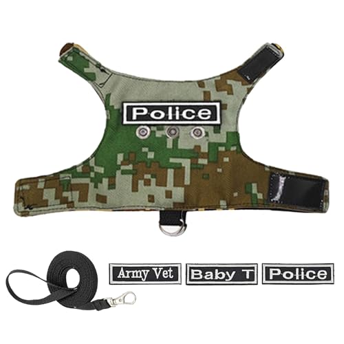 Barbu Dragon | verstellbares Eidechsengeschirr | Ausbruchgeschirr für Reptilien, Barbu-Drachenleinen, verstellbares Eidechsenseil für Kleidung, Eidechsen Barbu Dragon | verstellbares Eidechsengeschirr | Ausbruchgeschirr für Reptilien, Barbu-Drachenleinen, verstellbares Eidechsenseil für Kleidung, Eidechsen von Mlllokfki