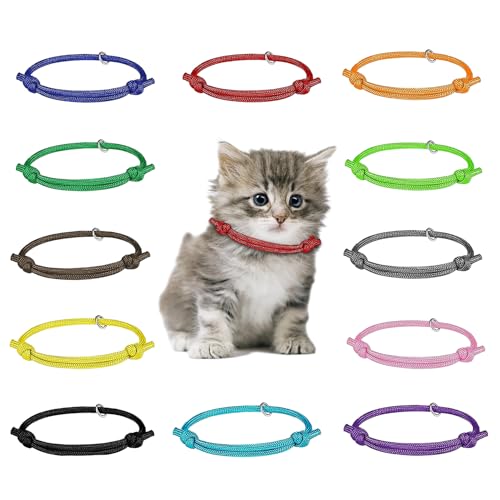 12 Stück Welpen ID Halsbänder, Welpenhalsbänder Einstellbar Soft Welpen Halsbänder, für Kleine Katzen, Hunde Welpen Halsbänder für Neugeborene Haustiere, 12 Farben 12 Stück Welpen ID Halsbänder, Welpenhalsbänder Einstellbar Soft Welpen Halsbänder, für Kleine Katzen, Hunde Welpen Halsbänder für Neugeborene Haustiere, 12 Farben von Mmgoqqt