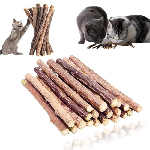 Mmgoqqt 30 Stück Katzenminze Sticks, Katzen Kauhölzer, Stick Katze Sticks Spielzeug, für Zahnpflege & Gegen Mundgeruch, Katzenminze Sticks zum Schleifen Zähnen, Natürlich Sicher Katzensticks Mmgoqqt 30 Stück Katzenminze Sticks, Katzen Kauhölzer, Stick Katze Sticks Spielzeug, für Zahnpflege & Gegen Mundgeruch, Katzenminze Sticks zum Schleifen Zähnen, Natürlich Sicher Katzensticks von Mmgoqqt