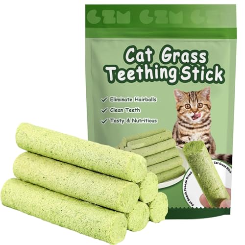 Mmgoqqt 6 Stück Katzengras Katzensticks, Zahnpflege Katzen, Kaustäbchen zur Plaque Reduzierung und Haarballen Beseitigung für wählerische Katzen von Mmgoqqt