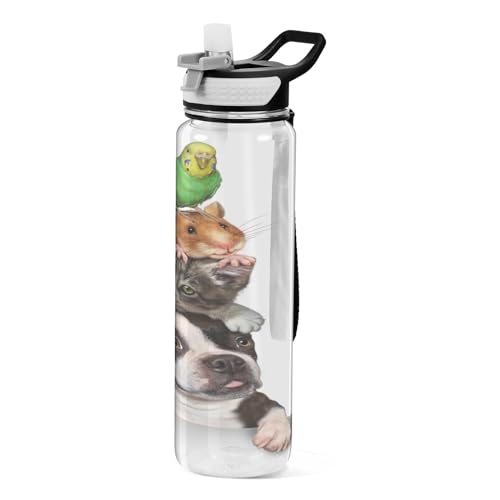 A Dog Cat Hamster and Wellensittich Sports Water Bottles with Straw Cap, BPA Free Tritan Plastic Drinks Bottle with Straw von Mnsruu