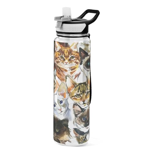 Cat Pet Doodle Sport-Wasserflaschen mit Strohhalmkappe, BPA-freie Tritan-Kunststoff-Trinkflasche mit Strohhalm von Mnsruu