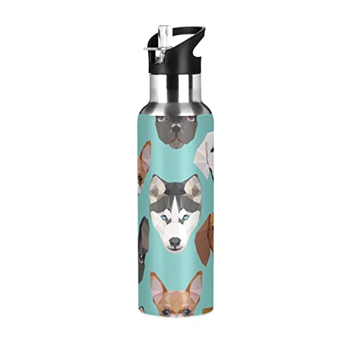 Corgi Husky Haustier Hund Wasserflasche Trinkflasche mit Strohhalm Deckel Isolierte Edelstahl Thermosflasche für Jungen Mädchen Fitnessstudio Sport Auslaufsicher 600ml von Mnsruu