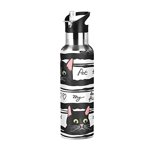 Schwarze Katze Haustier Wasserflasche Trinkflasche mit Strohhalm Deckel Isolierte Edelstahl Thermosflasche für Jungen Mädchen Fitnessstudio Sport Auslaufsicher 600ml von Mnsruu