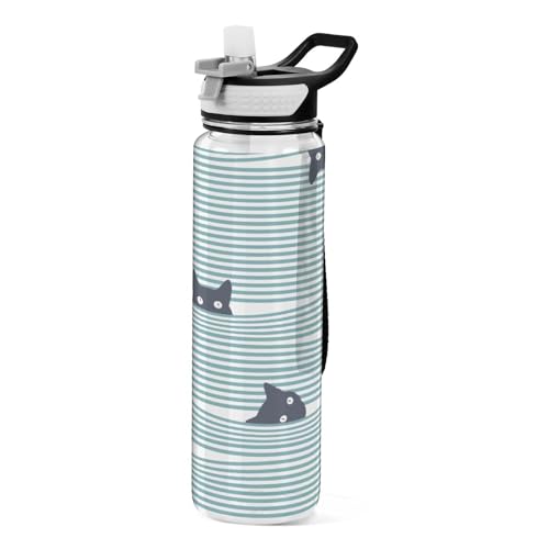 Sport-Trinkflaschen mit Strohhalm-Deckel, mit horizontalen Streifen, BPA-freie Tritan-Kunststoff-Trinkflasche mit Strohhalm von Mnsruu