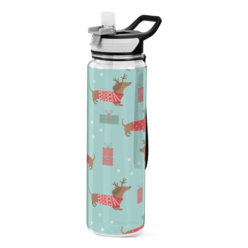 Sport-Wasserflaschen mit Strohhalmkappe, Weihnachtsdackel, BPA-frei, Tritan-Kunststoff-Trinkflasche mit Strohhalm von Mnsruu