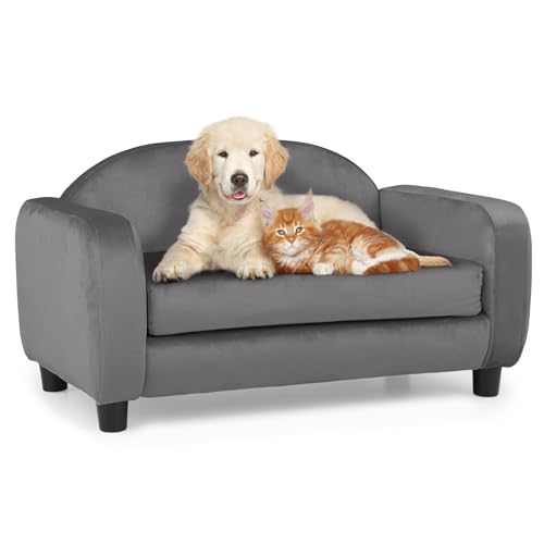 MoNiBloom Haustiersofa Hundesofa für kleine Hunde und Katzen, Samt, Luxus-Katzen-Couchbett mit abnehmbarem Kissen, waschbarer Bezug, Hellgrau von MoNiBloom