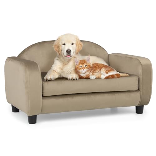 MoNiBloom Haustiersofa Hundesofa für kleine Hunde und Katzen, Samt Luxus Katzen-Couch Bett mit abnehmbarem Kissen, waschbarer Bezug, Hellbraun von MoNiBloom