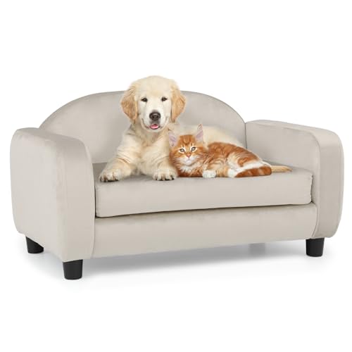 MoNiBloom Haustiersofa Hundesofa für kleine Hunde und Katzen, Samt Luxus Katzen-Couch Bett mit abnehmbarem Kissen, waschbarer Bezug, Perlweiß von MoNiBloom