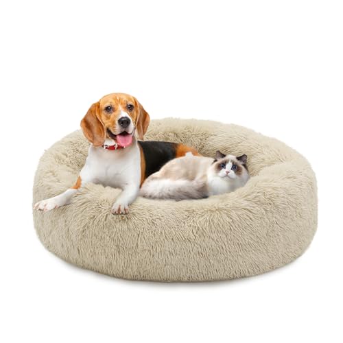 MoNiBloom Hundebetten für große Hunde, maschinenwaschbar, langes Plüsch-Haustierbett, wärmend, gemütlich, weiches Bett für Hunde und Katzen, Beige von MoNiBloom