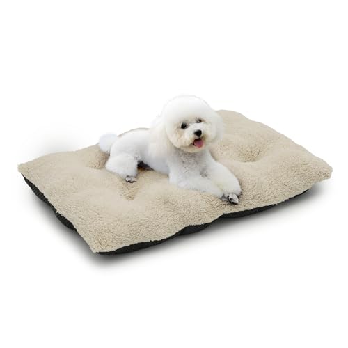 MoNiBloom Hundebetten für kleine Hunde, maschinenwaschbar, kurzes Plüschbett, wärmend, gemütlich, weiches Bett für Hunde und Katzen, 71,1 x 50,8 x 12,7 cm, Beige von MoNiBloom
