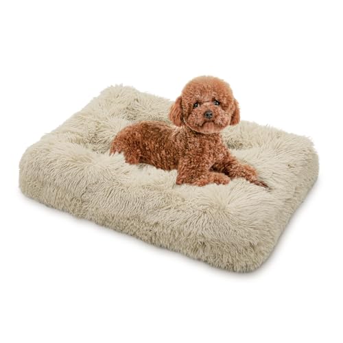 MoNiBloom Hundebetten für kleine Hunde, maschinenwaschbar, langes Plüsch-Haustierbett, wärmend, gemütlich, weiches Bett für Hunde und Katzen, 72,4 x 53,3 x 10,2 cm, Beige von MoNiBloom