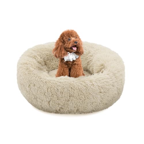 MoNiBloom Hundebetten für kleine Hunde, maschinenwaschbar, langes Plüsch-Haustierbett, wärmend, gemütlich, weiches Bett für Hunde und Katzen, Beige von MoNiBloom