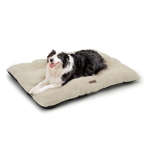 MoNiBloom Hundebetten für mittelgroße Hunde, maschinenwaschbar, kurzes Plüsch-Haustierbett, wärmend, gemütlich, weiches Bett für Hunde und Katzen, Beige von MoNiBloom