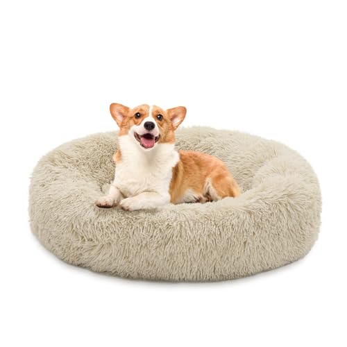 MoNiBloom Hundebetten für mittelgroße Hunde, maschinenwaschbar, langes Plüsch-Haustierbett, wärmend, gemütlich, weiches Bett für Hunde und Katzen, Beige von MoNiBloom