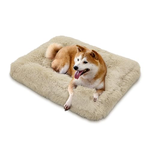 MoNiBloom Hundebetten für mittelgroße Hunde, maschinenwaschbar, langes Plüsch-Haustierbett, wärmend, gemütlich, weiches Bett für Hunde und Katzen, Beige von MoNiBloom