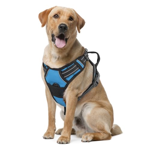 MoNiBloom Reflektierendes Hundegeschirr, kein Ziehen, Westengeschirr mit Griff, verstellbar, weich gepolstert, Haustiergeschirr für große Hunde, Himmelblau, L MoNiBloom Reflektierendes Hundegeschirr, kein Ziehen, Westengeschirr mit Griff, verstellbar, weich gepolstert, Haustiergeschirr für große Hunde, Himmelblau, L von MoNiBloom