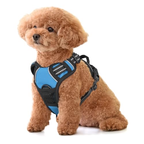 MoNiBloom Reflektierendes Hundegeschirr, kein Ziehen, Westengeschirr mit Griff, verstellbar, weich gepolstert, Haustiergeschirr für kleine Hunde, Himmelblau, S MoNiBloom Reflektierendes Hundegeschirr, kein Ziehen, Westengeschirr mit Griff, verstellbar, weich gepolstert, Haustiergeschirr für kleine Hunde, Himmelblau, S von MoNiBloom