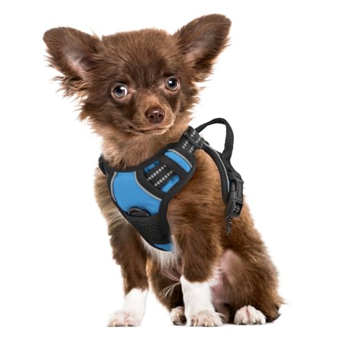 MoNiBloom Reflektierendes Hundegeschirr, kein Ziehen, Westengeschirr mit Griff, verstellbar, weich gepolstert, Haustiergeschirr für kleine Hunde, Himmelblau, XS MoNiBloom Reflektierendes Hundegeschirr, kein Ziehen, Westengeschirr mit Griff, verstellbar, weich gepolstert, Haustiergeschirr für kleine Hunde, Himmelblau, XS von MoNiBloom