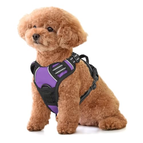 MoNiBloom Reflektierendes Hundegeschirr, kein Ziehen, Westengeschirr mit Griff, verstellbar, weich gepolstert, Haustiergeschirr für kleine Hunde, Lila, S MoNiBloom Reflektierendes Hundegeschirr, kein Ziehen, Westengeschirr mit Griff, verstellbar, weich gepolstert, Haustiergeschirr für kleine Hunde, Lila, S von MoNiBloom