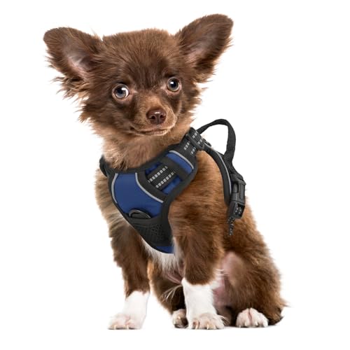 MoNiBloom Reflektierendes Hundegeschirr, kein Ziehen, Westengeschirr mit Griff, verstellbar, weich gepolstert, Haustiergeschirr für kleine Hunde, Marineblau, XS MoNiBloom Reflektierendes Hundegeschirr, kein Ziehen, Westengeschirr mit Griff, verstellbar, weich gepolstert, Haustiergeschirr für kleine Hunde, Marineblau, XS von MoNiBloom