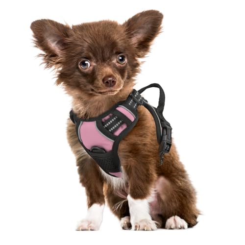 MoNiBloom Reflektierendes Hundegeschirr, kein Ziehen, Westengeschirr mit Griff, verstellbar, weich gepolstert, Haustiergeschirr für kleine Hunde, Rosa, XS MoNiBloom Reflektierendes Hundegeschirr, kein Ziehen, Westengeschirr mit Griff, verstellbar, weich gepolstert, Haustiergeschirr für kleine Hunde, Rosa, XS von MoNiBloom