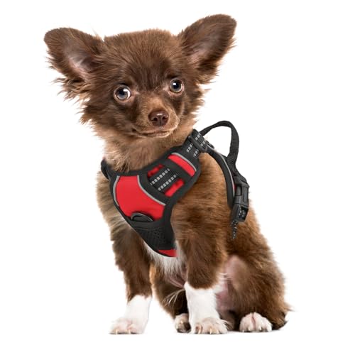 MoNiBloom Reflektierendes Hundegeschirr, kein Ziehen, Westengeschirr mit Griff, verstellbar, weich gepolstert, Haustiergeschirr für kleine Hunde, Rot, XS MoNiBloom Reflektierendes Hundegeschirr, kein Ziehen, Westengeschirr mit Griff, verstellbar, weich gepolstert, Haustiergeschirr für kleine Hunde, Rot, XS von MoNiBloom