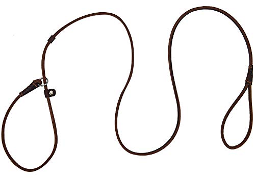 Hundeleine aus Echtleder für kleine, mittelgroße Hunde, Welpen, leicht, dünn, Aber stabil, verstellbar, weich und schlank, 160 cm lang, 0,6 cm breit (braun) Hundeleine aus Echtleder für kleine, mittelgroße Hunde, Welpen, leicht, dünn, Aber stabil, verstellbar, weich und schlank, 160 cm lang, 0,6 cm breit (braun) von MoSANY