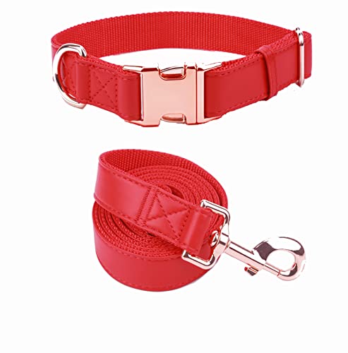 Hundehalsband und Leine. Weiches und leicht zu reinigendes veganes Leder mit rotgoldener Metallschnalle für kleine, mittelgroße und große Hunde (rot, S (31 - 42,9 cm)) von MoTaity