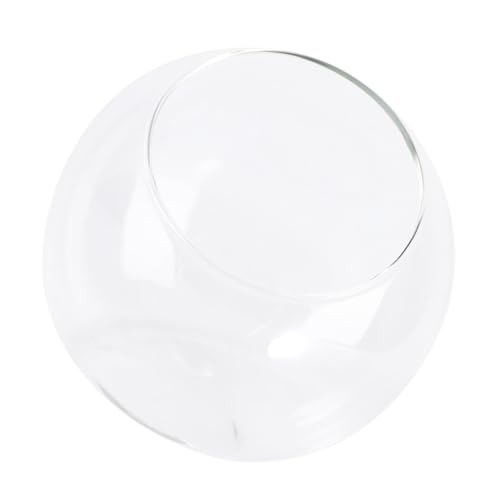 1Stück Mini Terrarium Glasflasche DIY Pflanzenterrarium für Garten und Wohnungsdekoration für Schreibtisch und Esstisch Design von Mobestech
