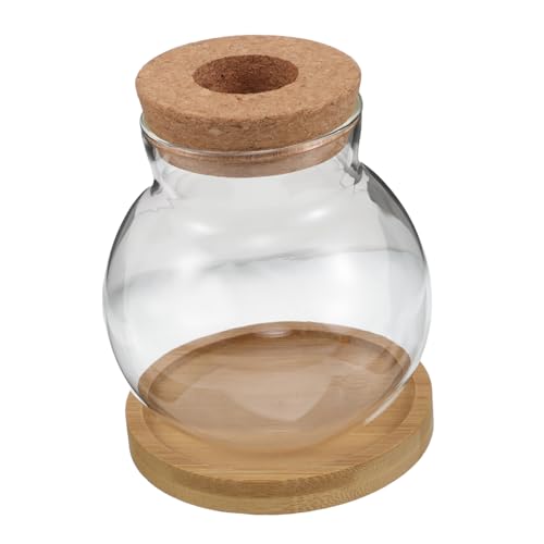 Mobestech 2 Sets Hydrokultur Pflanzflaschen Anzuchtgläser Kleine Durchsichtige Vase Hydrokulturvase Terrariumschale Desktop Anzuchtstation Glas Mit Korkdeckel Fischglas Mit Deckel von Mobestech