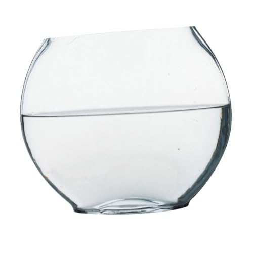 Mobestech Flasche Kleiner Fischtank Pflanzenterrarium Pflanzen Terrarienschale Klares Fischbecken Blumenvase Pflanztopf Für Terrarium Aquarienschale Schale Pflanzer Glas Mobestech Flasche Kleiner Fischtank Pflanzenterrarium Pflanzen Terrarienschale Klares Fischbecken Blumenvase Pflanztopf Für Terrarium Aquarienschale Schale Pflanzer Glas von Mobestech