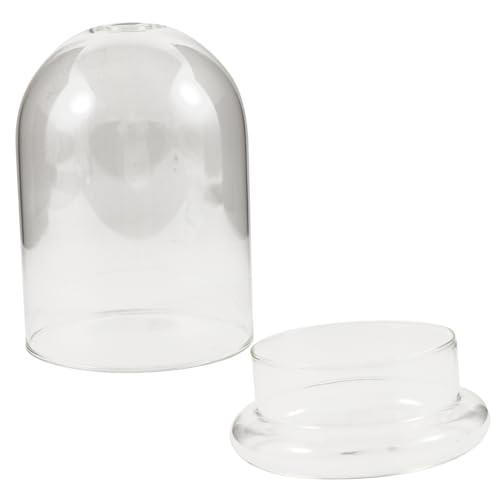 Mobestech Ökologische Glasflasche mit Cloche Glocke aus Dekorative Klarglaskuppel für Pflanzen Terrarium DIY Moosterrarium für Wohnzimmer und Büro Langlebig von Mobestech