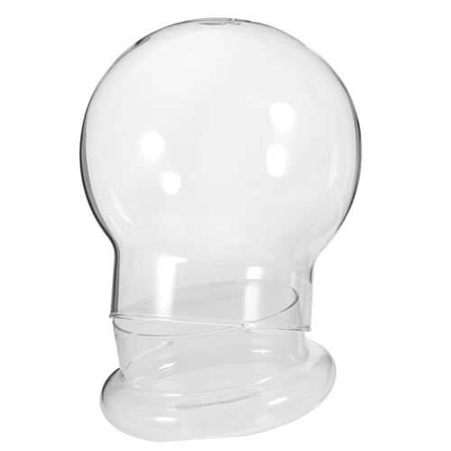 Mobestech Terrarium Flasche für Moos Pflanzen Transparente Deko Flasche mit Großem Loch Ökosystem für Wohnzimmer Büro Stilvolle Inneneinrichtung Mobestech Terrarium Flasche für Moos Pflanzen Transparente Deko Flasche mit Großem Loch Ökosystem für Wohnzimmer Büro Stilvolle Inneneinrichtung von Mobestech