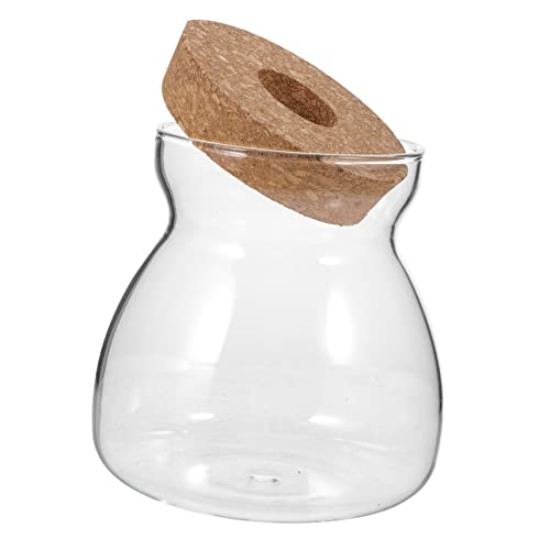 Mobestech Terrarium Glasbehälter für Hydroponische Pflanzen Ökosystemvase mit Korkdeckel für Miniaturgärten Sukkulenten und Innenraumdekoration Transparentes Design von Mobestech