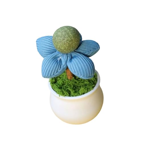 Mocoocouture Interaktion Catnips Topf Pflanzenspielzeug Für Kätzchen Kaut Und Spielt Für Innenunterhaltung Neckt Catnips Ball Cats Teaser Toy Mocoocouture Interaktion Catnips Topf Pflanzenspielzeug Für Kätzchen Kaut Und Spielt Für Innenunterhaltung Neckt Catnips Ball Cats Teaser Toy von Mocoocouture