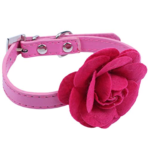 Mocturnity HundehalsbäNder, Welpen SüßE Kleine Haustier Kragen Katze Glocke Kragen für Hunde Verstellbare PU-Leder (S, Rose Rot) von Mocturnity