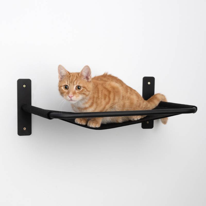 Modern Living Wandbett Boston - schwarz Modern Living Wandbett Boston - schwarz von Modern Living