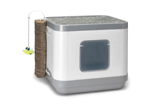 Katzentoilette,C802,Cube AA8II L:48 cm B:40 cm H: 43 cmgrau Katzentoilette,C802,Cube AA8II L:48 cm B:40 cm H: 43 cmgrau von Moderna