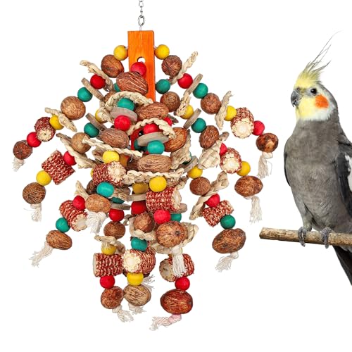 Mogoko Vogelspielzeug, großes Papageienspielzeug, natürliche Nüsse, Maiskolben, Kauspielzeug für Papageien, Papageien, Aras, Kakatus, Amazonas-Papageien, Graue Kakadus, mittelgroße und große Vögel Mogoko Vogelspielzeug, großes Papageienspielzeug, natürliche Nüsse, Maiskolben, Kauspielzeug für Papageien, Papageien, Aras, Kakatus, Amazonas-Papageien, Graue Kakadus, mittelgroße und große Vögel von Mogoko