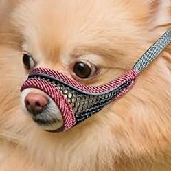 Hundemaulkorb, weiche Netzmaulkörbe für kleine Hunde, Chihuahua Shih Tzu Yorkie Pom, Kurzschnauze Mundschutz zum Bellen Beißen Fellpflege, atmungsaktiv verstellbar Welpenmaulkorb (Kirschrot, XS) von MoiiLavin