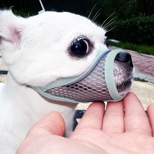 Hundemaulkorb, weiche Netzmaulkörbe für kleine Hunde, Chihuahua Shih Tzu Yorkie Pom, Kurzschnauze Mundschutz zum Bellen Beißen Fellpflege, atmungsaktiv verstellbar Welpenmaulkorb (Minzblau, XXS) von MoiiLavin