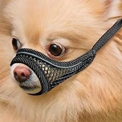 Hundemaulkorb, weiche Netzmaulkörbe für kleine Hunde, Chihuahua Shih Tzu Yorkie Pom, kurze Schnauze Mundschutz zum Bellen Beißen Fellpflege, atmungsaktiv, verstellbarer Welpenmaulkorb (Deep Black, XXS von MoiiLavin